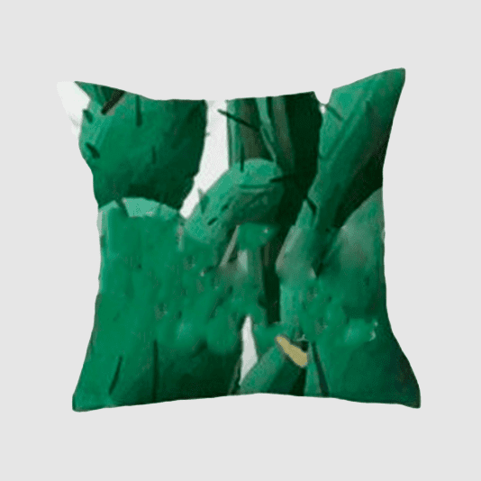 COJIN DECORATIVO 