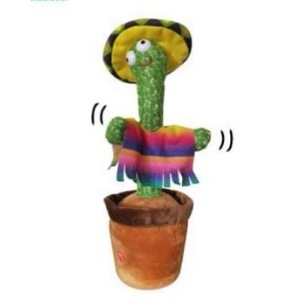 Cactus Bailarín 